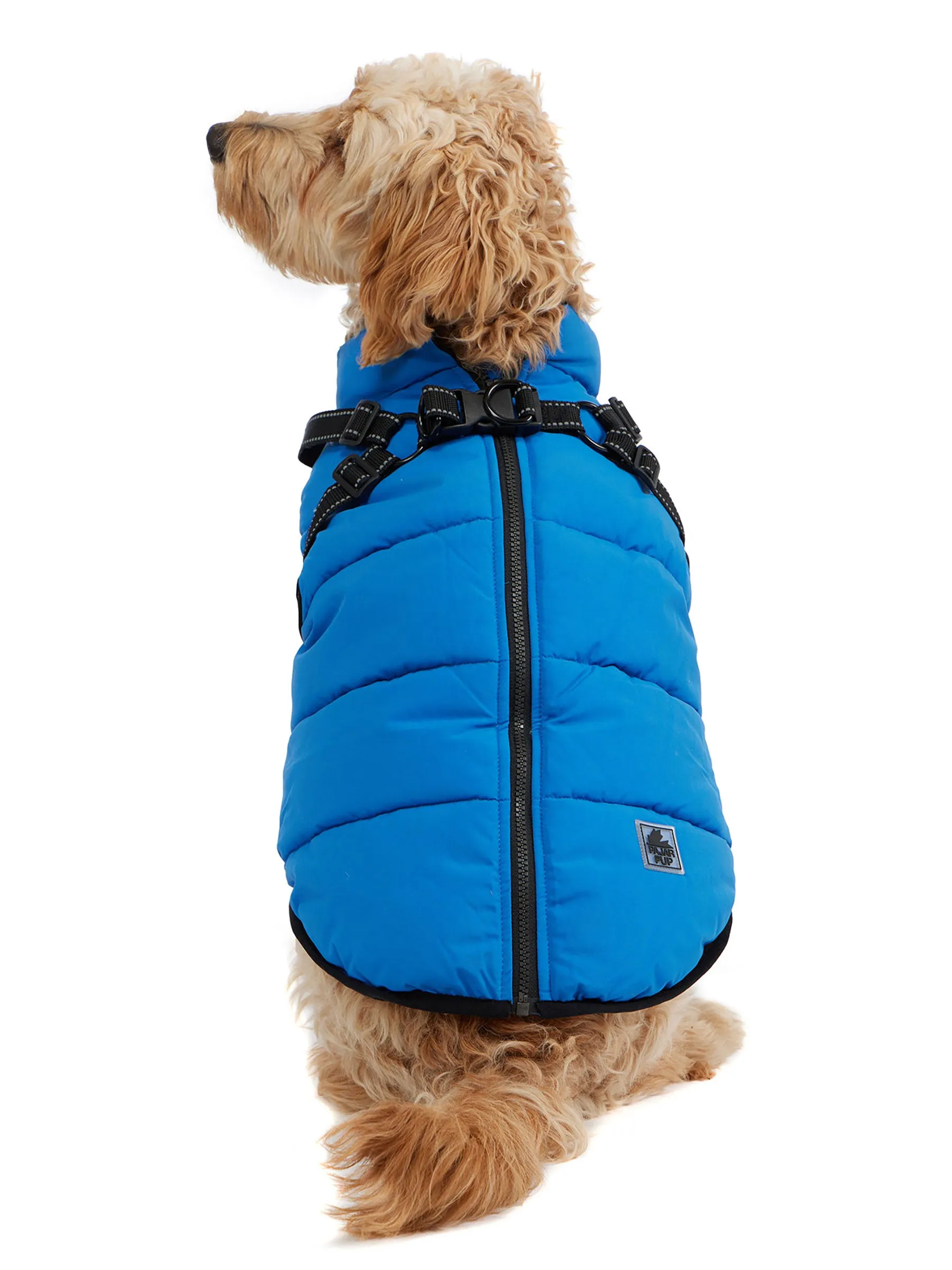 Atlas Puffer Jacket with Built-In Harness for Dogs