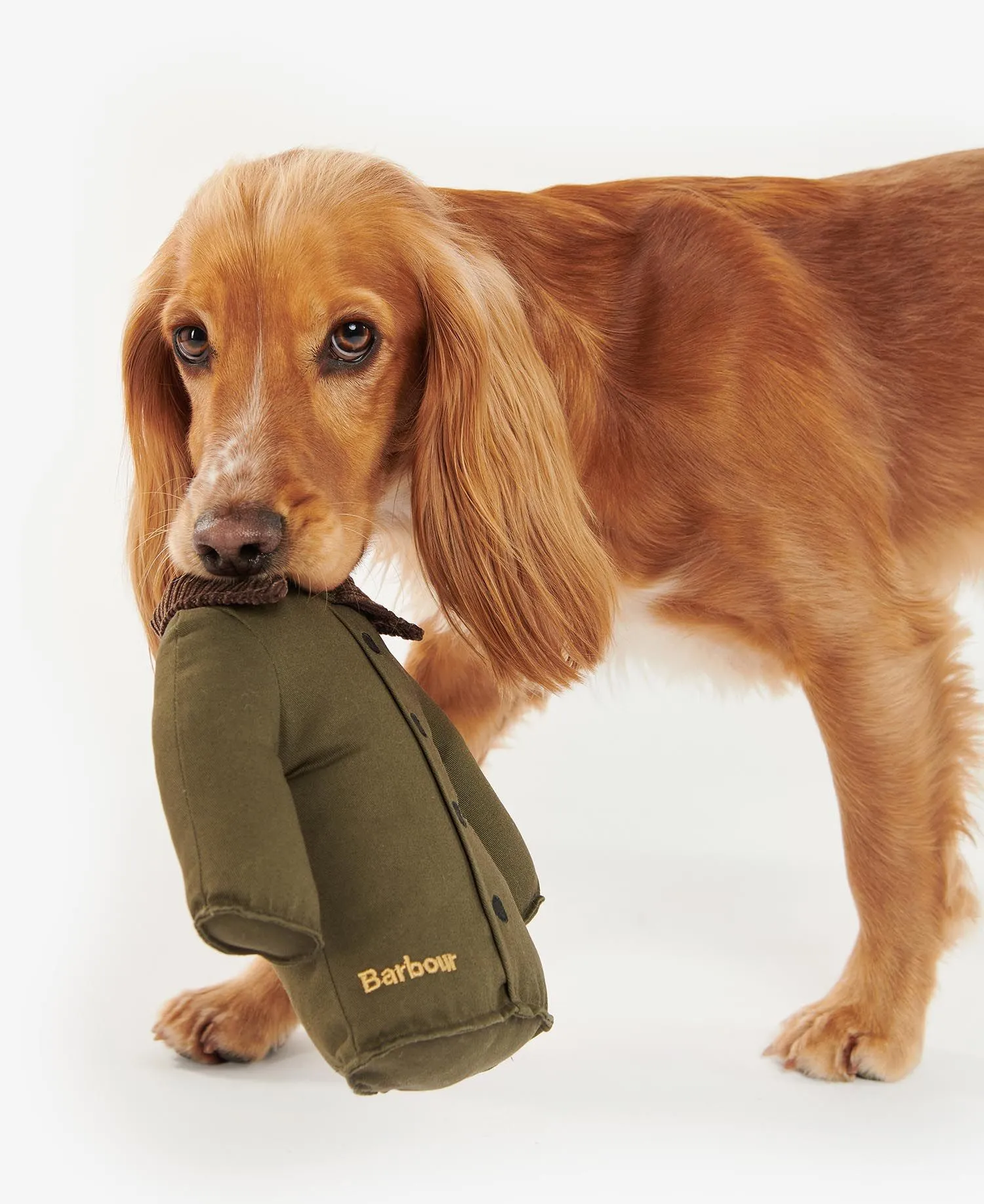 Barbour Jacket Dog Toy