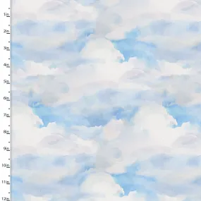 Clouds Quilting Fabric from the Sunflower Stampede Collection by John Keeling from 3 Wishes, 16599-BLU-CTN-D